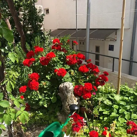 Center Town Lipa Mala * Gradac (Split-Dalmatia)