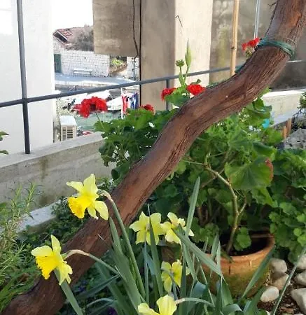 Appartement Lipa Mala