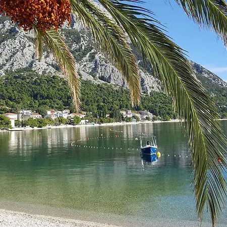 Apartment Center Town Lipa Mala Gradac (Split-Dalmatia)