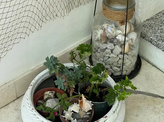 Center Town Lipa Mala Apartman